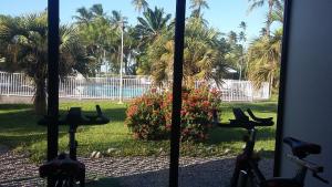 een raam met uitzicht op een tuin met palmbomen bij Grand Hotel Montabo in Cayenne