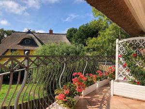 Zahrada ubytování Hotel Residenz Rennhack