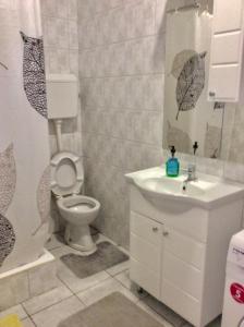 a bathroom with a toilet and a sink and a mirror at Apartman Andrea, BN centar in Bijeljina