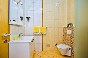 a small bathroom with a toilet and a sink at Luxurious Apartments Maslina with Beach in Milna