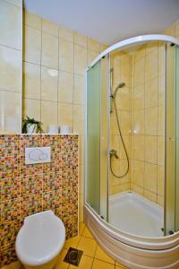a bathroom with a shower with a toilet and a tub at Luxurious Apartments Maslina with Beach in Milna