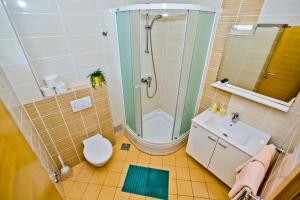 a bathroom with a shower and a toilet and a sink at Luxurious Apartments Maslina with Beach in Milna