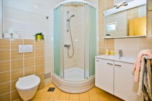 a bathroom with a shower and a toilet and a sink at Luxurious Apartments Maslina with Beach in Milna