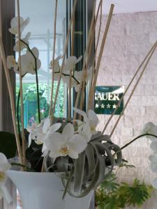 Fotografie z fotogalerie ubytování Hotel Bauer & Sporting v destinaci Lido di Jesolo