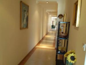 Foto sihtkohas Mellieħa asuva majutusasutuse The Halcyon galeriist