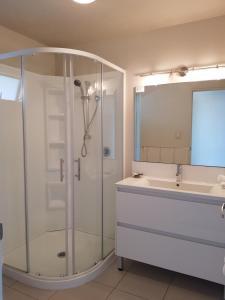 a bathroom with a shower and a sink at Delago Motel/Apartments in Christchurch