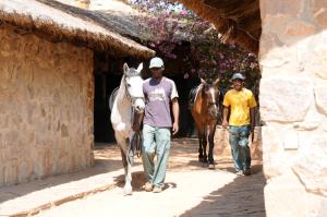 two men and a horse walking down a street at Le Jardin du Roy in Ranohira