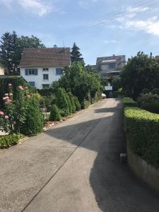 Taman di luar Ferienwohnung Haltingen