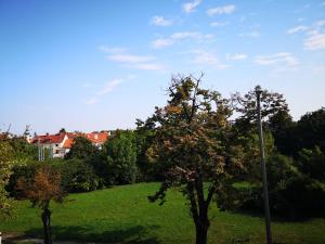Vonkajšia záhrada v ubytovaní HOKE lakás