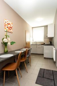 A kitchen or kitchenette at Pohoda Ubytovanie Stupava