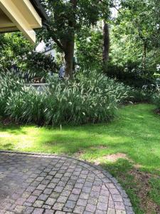 ceglany chodnik na podwórku z trawą i roślinami w obiekcie Huusje18 w mieście Nunspeet