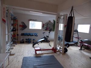 a room with a gym with bikes and weights at Söderhagen Camping och Gästhem in Eckerö