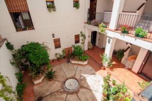 uma vista superior de um pátio com vasos de plantas em Apartamentos La Ribera Córdoba em Córdoba
