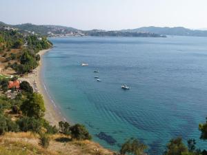 Φωτογραφία από το άλμπουμ του vassilias beach hotel στον Βασιλιά