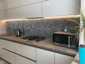 uma cozinha com um fogão e um micro-ondas no balcão em Luxury Apartment in Downtown, Near River Esplanade em Carcóvia