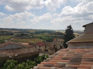 a view of a village with tile roofs at Cal Antonio in Tudela del Segre +2 photos