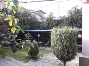 Zahrada ubytování Bodhi Guest House