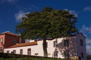 a tree in front of a building at Quinta Do Norte in Capelas