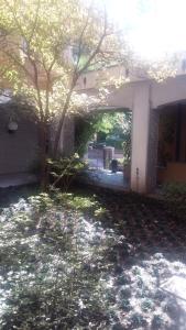 a house with a tree in the yard at La Martino B&B in Varese