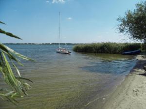 a sail boat in the water next to a beach at Landferienhof "Müritzufer" in Ludorf +1 photo