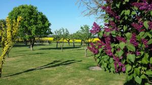 a park with trees and purple flowers in the grass at Landferienhof "Müritzufer" in Ludorf