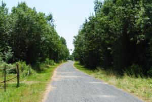 un camino de tierra con árboles a ambos lados. en Ecurie de la Grange l'Abbé, en Le Langon