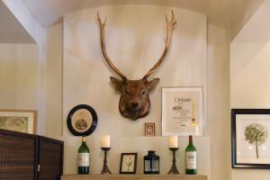 Fotografie z fotogalerie ubytování Hotel Hirschen in Freiburg-Lehen ve Freiburgu