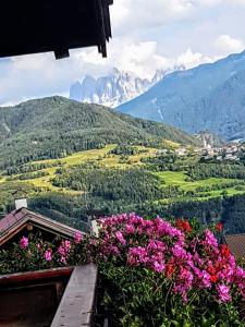 Φωτογραφία από το άλμπουμ του Schnellehof σε Feldthurns