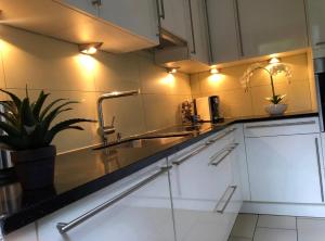 a kitchen with a sink and a potted plant at Breathtaking Waterfall Apartment in Lauterbrunnen +8 photos