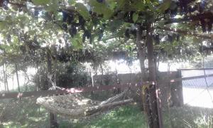 Giardino di wine valley
