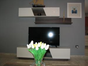 TV a/nebo společenská místnost v ubytování Apartment Amfora on the ground floor