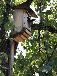 a wooden bird house hanging in a tree at Forest Hotel Palmira in Mnogorechye