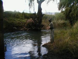 a man is standing in a river with a fish at Royal Coachman in Clarens