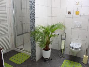 Vannituba majutusasutuses Appartementhaus Elfi