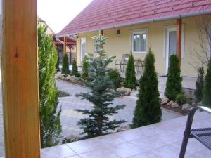 Zahrada ubytování Tünde Apartman