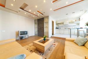 a living room with a couch and a tv at Brivibas LUX in Riga