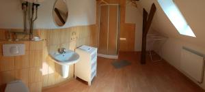 a bathroom with a sink and a shower at Chaloupka Slaměnka in Loučná pod Klínovcem +58 photos