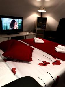 a bedroom with a bed with red flowers on it at Matejevic Apartments in Niš