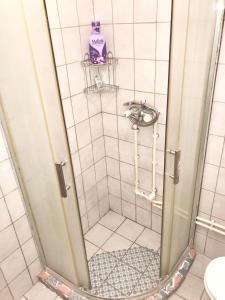 a shower with a mirror in a bathroom at Matejevic Apartments in Niš