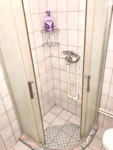 a shower with a mirror in a bathroom at Matejevic Apartments in Niš +9 photos