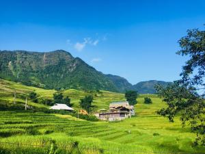 a farm in a field with mountains in the background at Hoa's homestay Sapa in Sa Pa