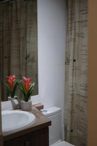 y baño con lavabo, aseo y cortina de ducha. en Edificio Parque Almagro, en Chillán