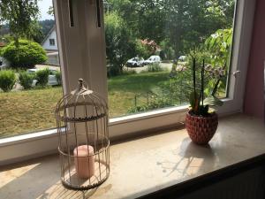 une cage pour oiseaux assise sur un rebord de fenêtre à côté d'une plante dans l'établissement Pension Malwine, à Karlsruhe