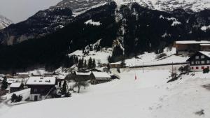 Chalet Bärgblick v zimě