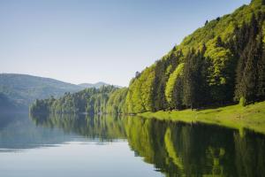 Gallery image of Cabana Cumpana in Cumpăna