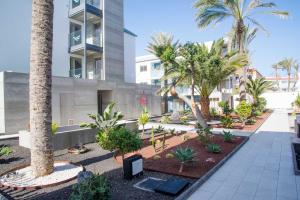 dziedziniec z palmami przed budynkiem w obiekcie Futura Apartment w Corralejo