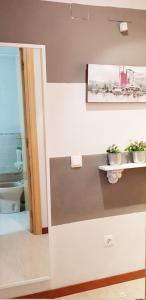 a room with a shelf with potted plants on it at Vivienda Turística Pirineos XXI in Canfranc-Estación