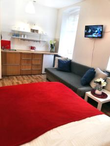 カトヴィツェにあるStudio Wiola Centrumのリビングルーム(赤いベッド1台、ソファ付)