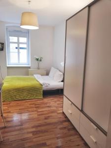 1 dormitorio con cama y espejo grande en Studio Wiola Centrum en Katowice