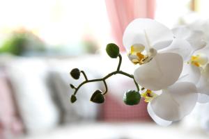 Φωτογραφία από το άλμπουμ του Hotel Alphorn στο Γκστάαντ